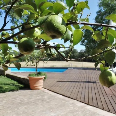 Borgo Santa Cristina Летний дом