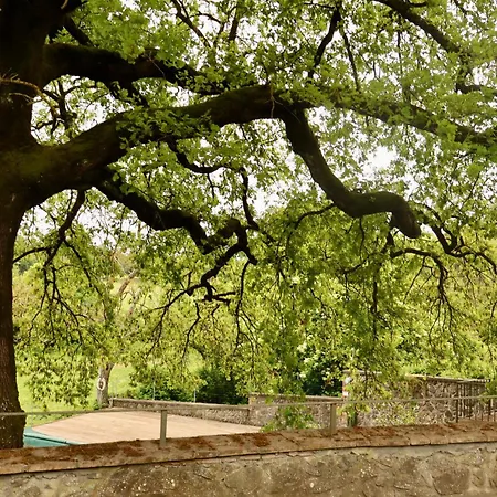 Летний дом Borgo Santa Cristina Кастель-Джорджо